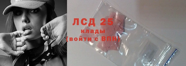 тгк Каменка