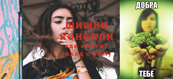тгк Каменка