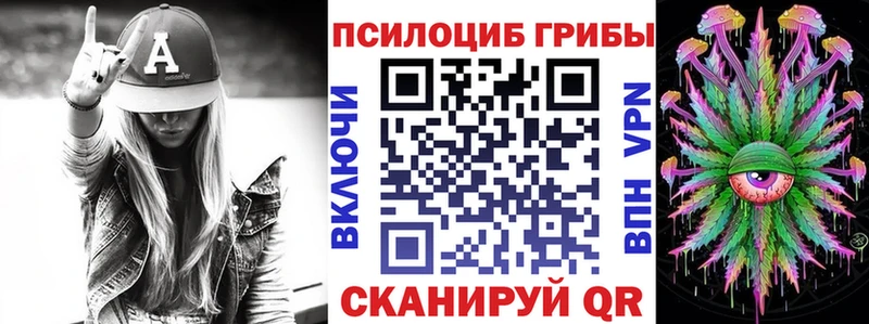 Купить  Черепаново  Псилоцибиновые грибы Psilocybine cubensis 